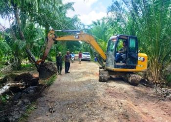 Kadis Lingkungan Hidup Rohil, Suwandi,S.Sos saat memantau kegiatan normalisasi