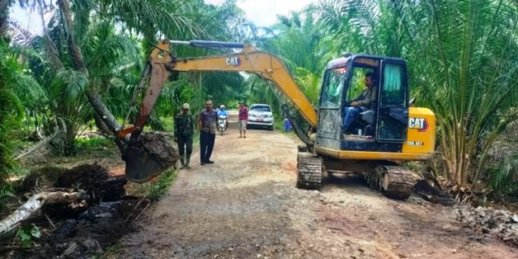 Kadis Lingkungan Hidup Rohil, Suwandi,S.Sos saat memantau kegiatan normalisasi